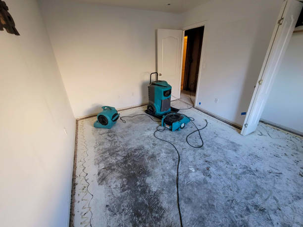 Best 24/7 water damage repair  in Johnson City, NY