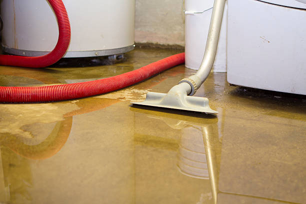 Best Carpet water damage restoration  in Johnson City, NY