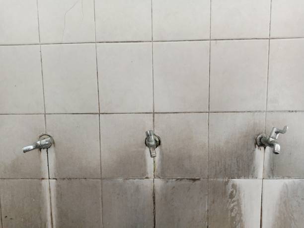 Best Local water damage restoration  in Johnson City, NY