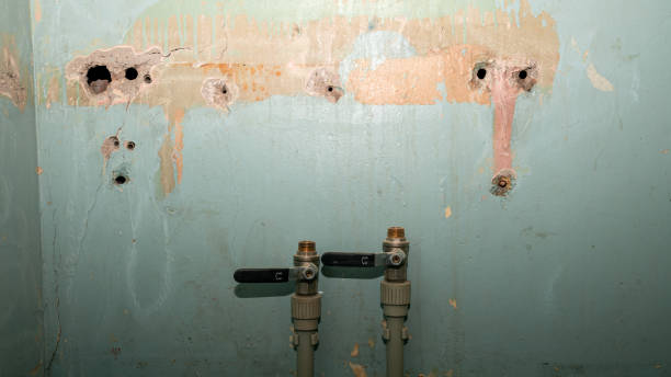 Best 24-hour water damage restoration  in Johnson City, NY