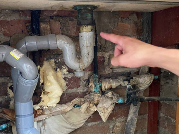 Best Water damage cleanup near me  in Johnson City, NY