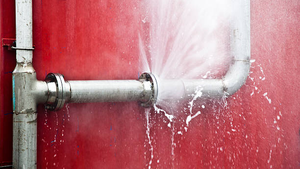 Best Water damage contractors near me  in Johnson City, NY
